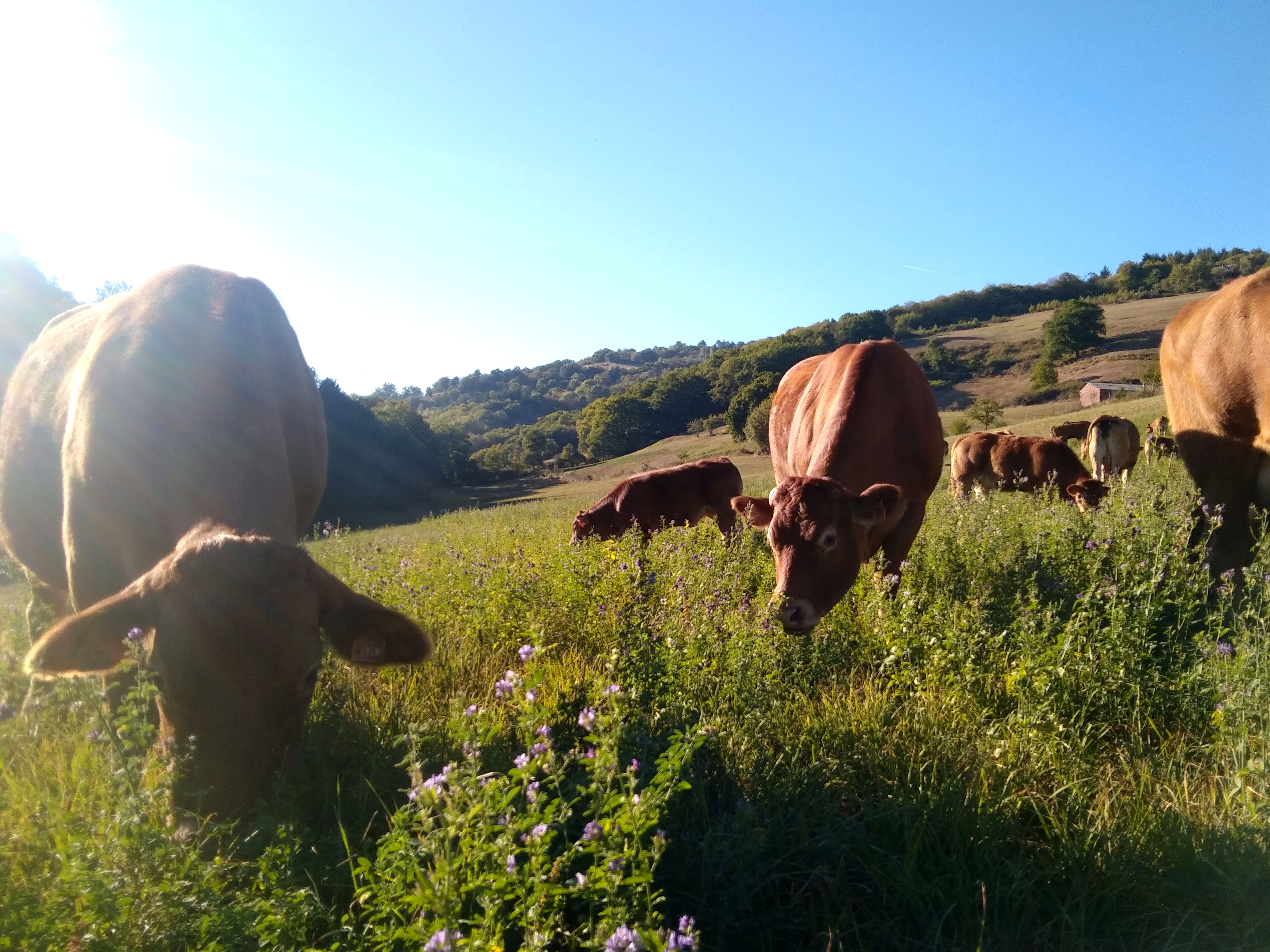 Valoriser les espaces naturels