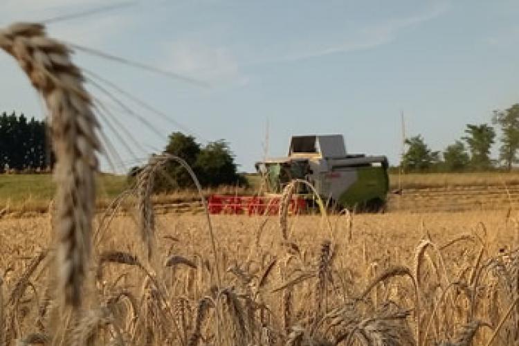 Je suis agriculteur employeur